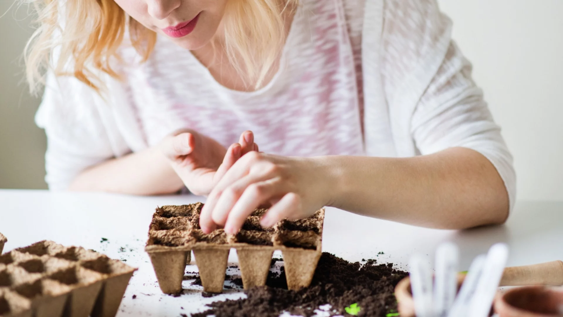 Кога е най-добре да засадите разсад пипер през 2026?