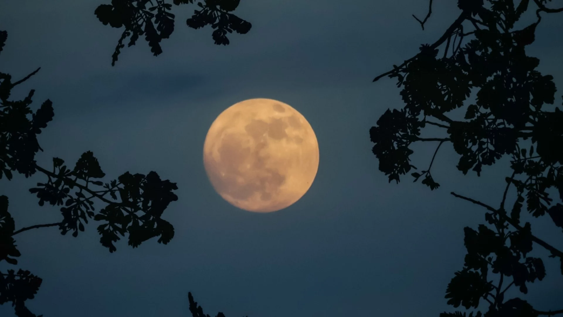 Пълнолуние на 1 февруари носи КЪСМЕТ на 4 зодии