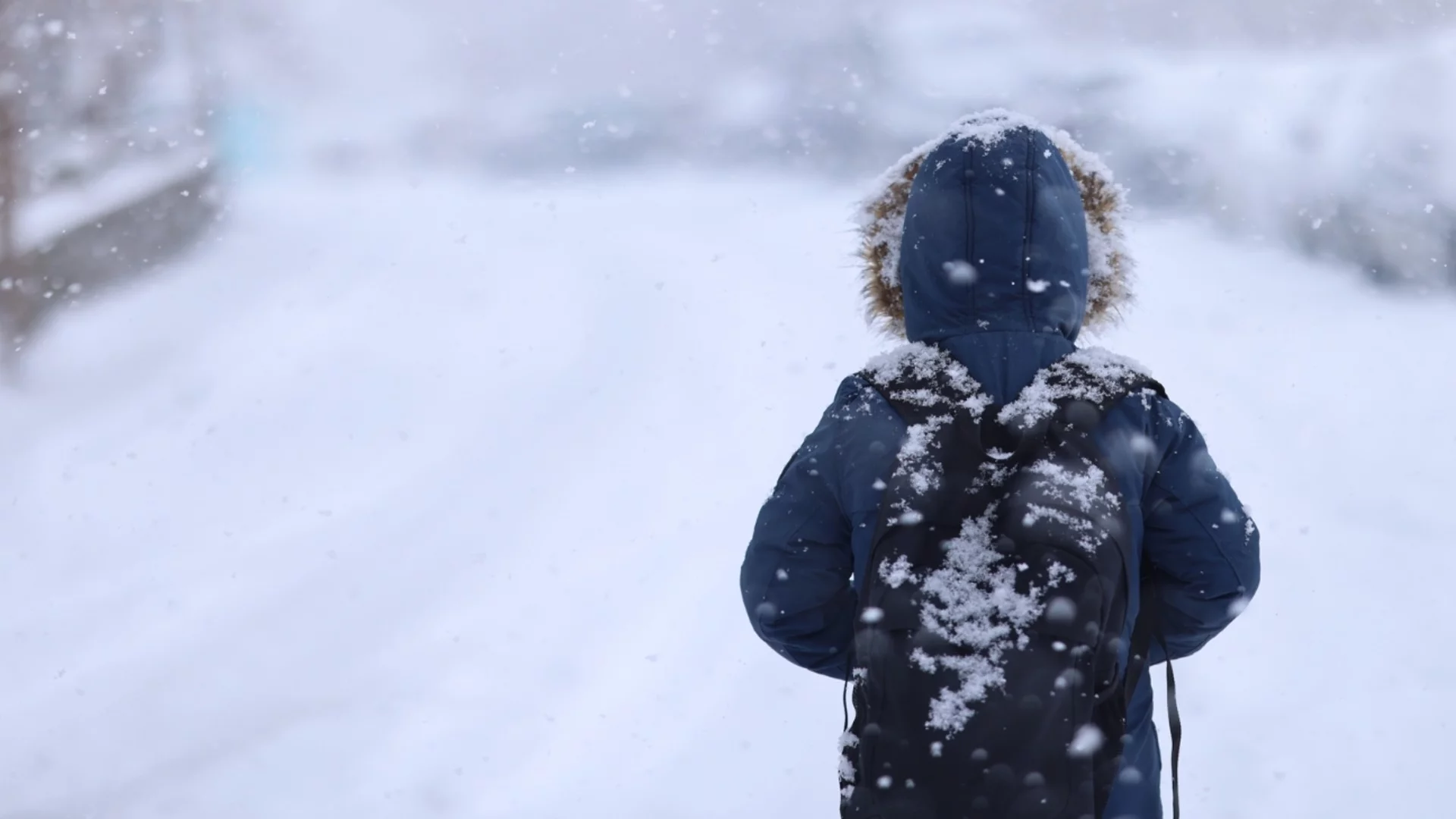 Като невидели: Индийски работници в РСМ се радват на сняг (ВИДЕО)