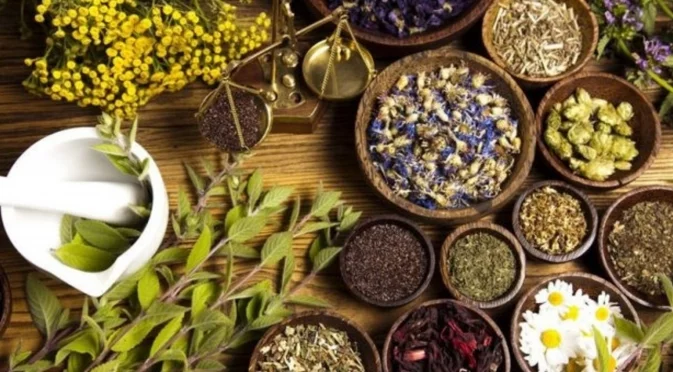 Как да отглеждате чаена градина