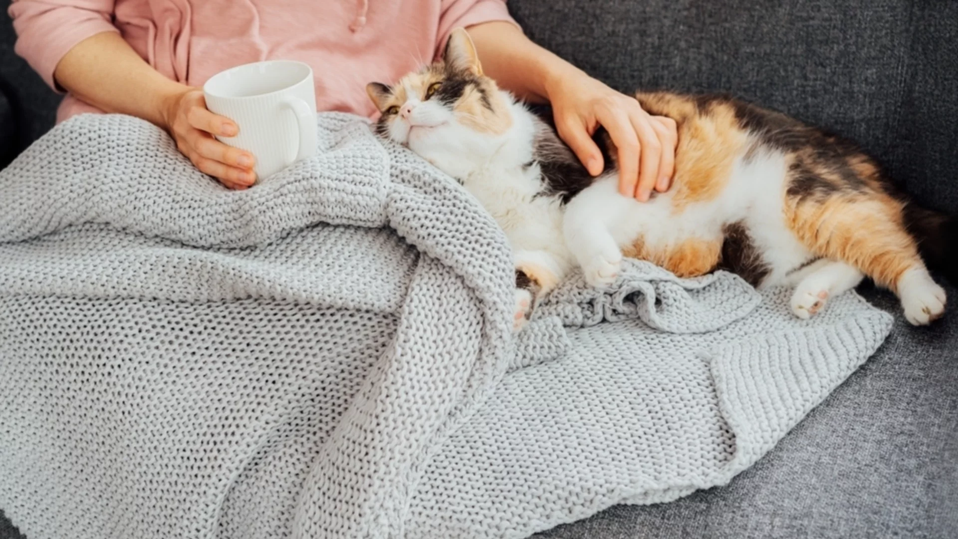 Слънцето ще се покаже в тези часове. Времето утре - 28 януари 2026 г. 