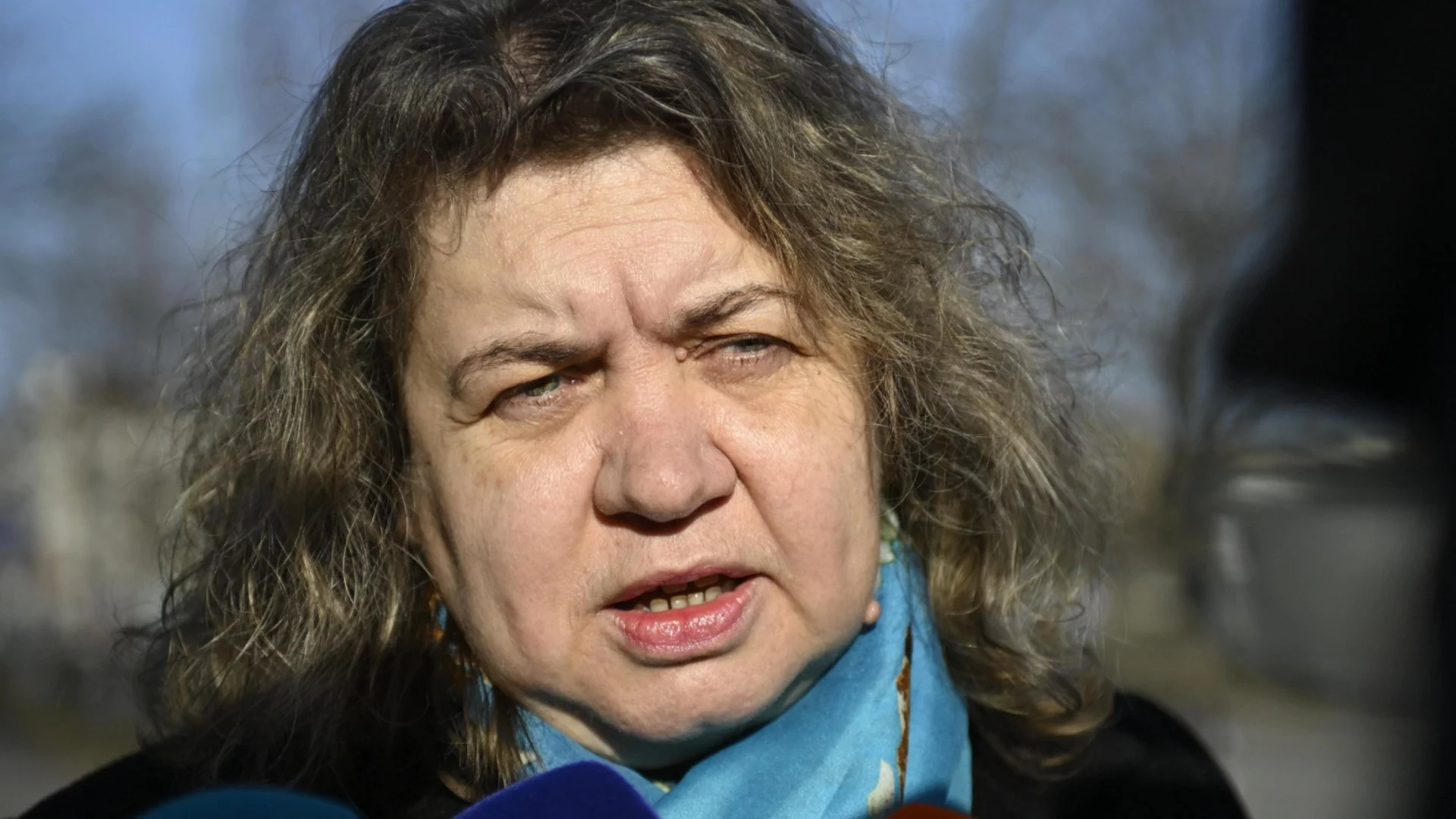 Киселова за новия обществен договор на Радев: Парламентарната форма на управление е безалтернативна