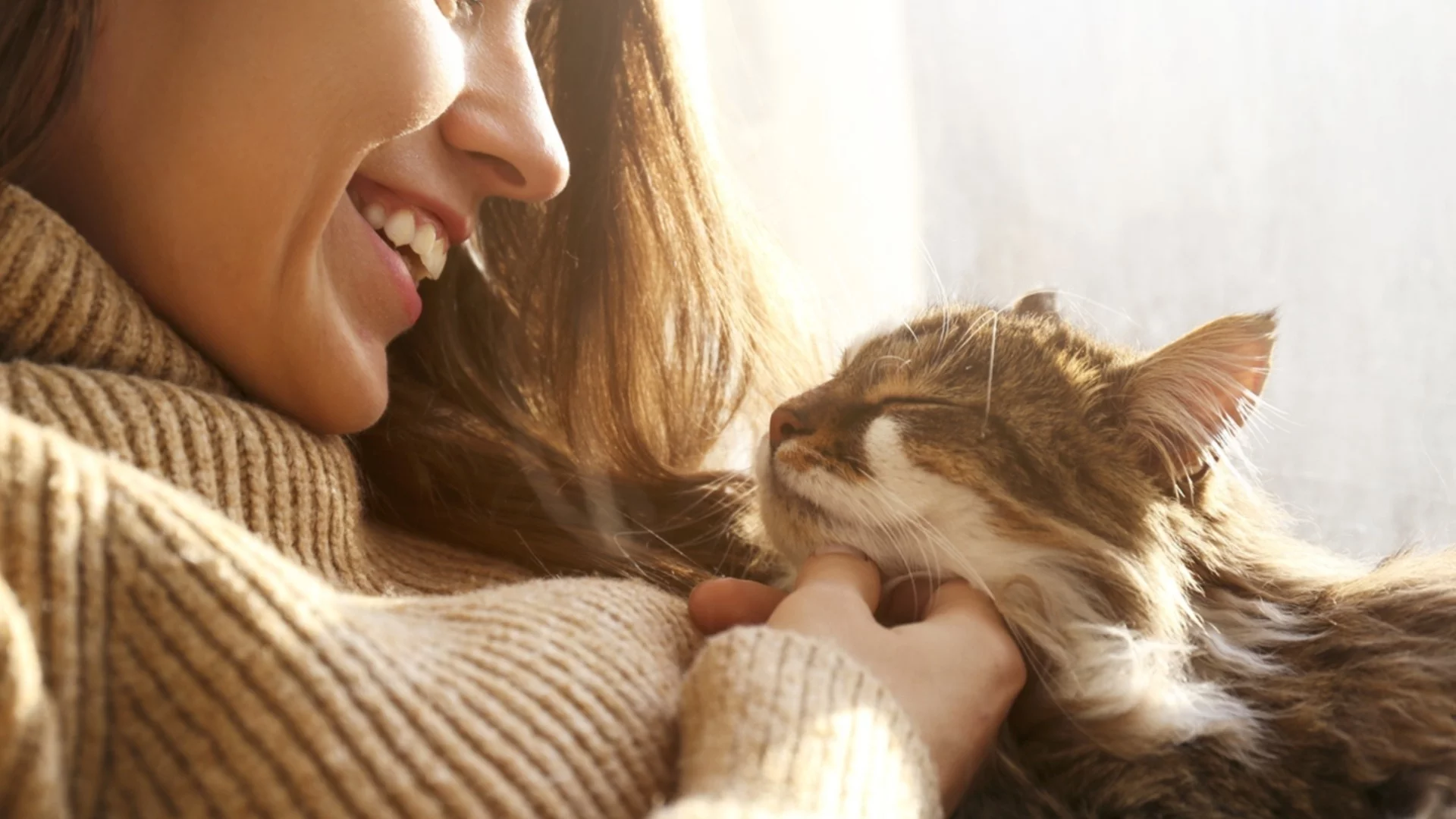 Хороскоп за утре, 28 януари: Козирозите ще се усмихват под мустак, а Девите ще бъдат хванати натясно