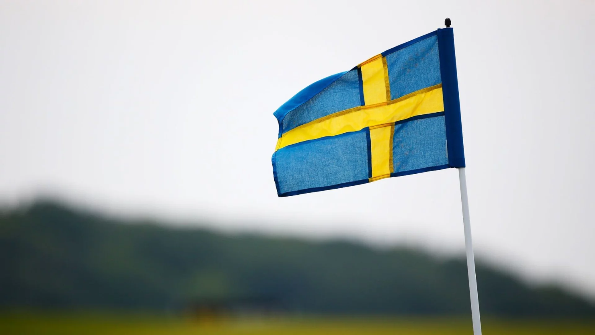 Швеция обмисля да приеме еврото след изборите