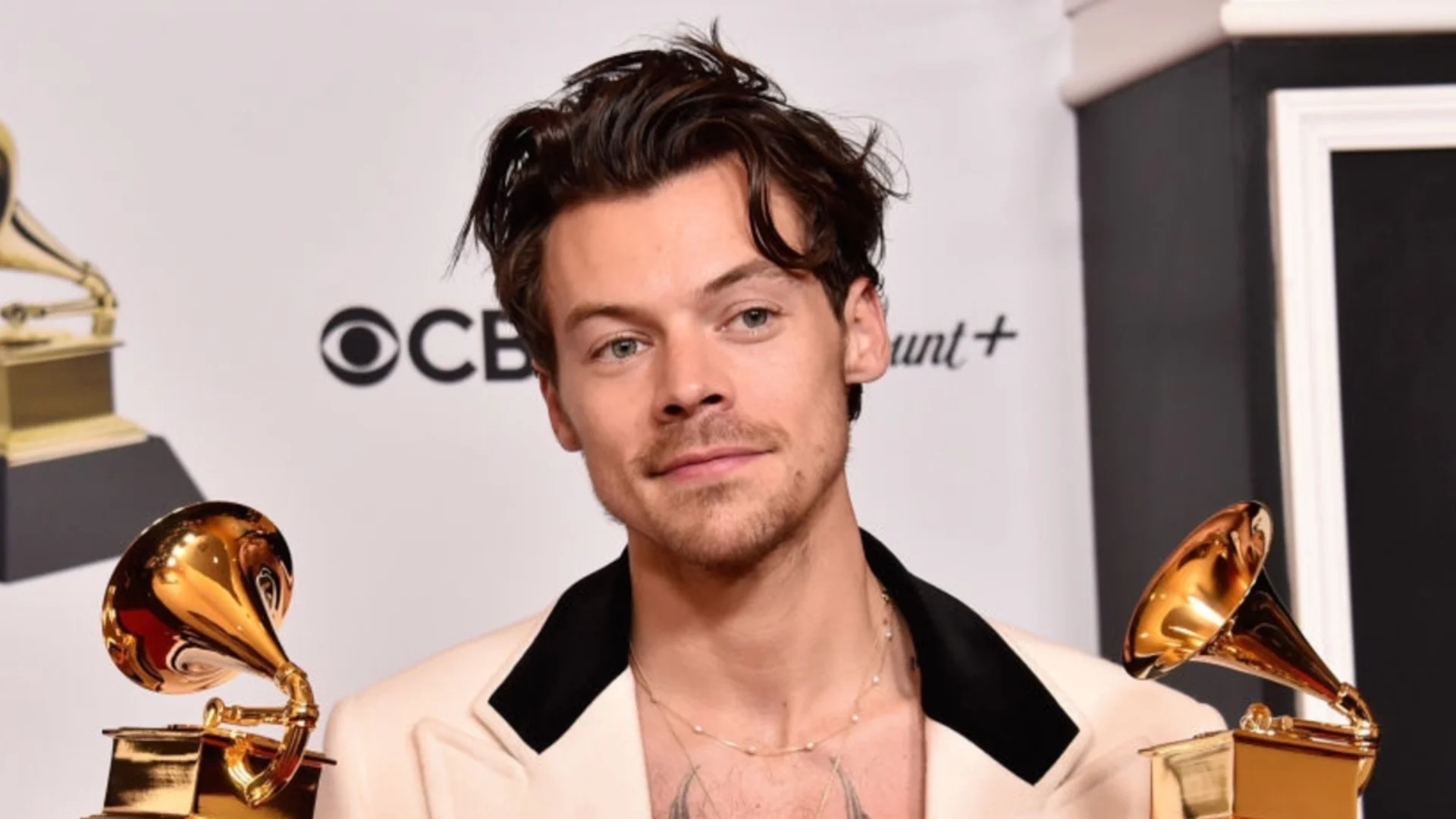 Повече от музика: Турнето на Хари Стайлс крие специална кауза