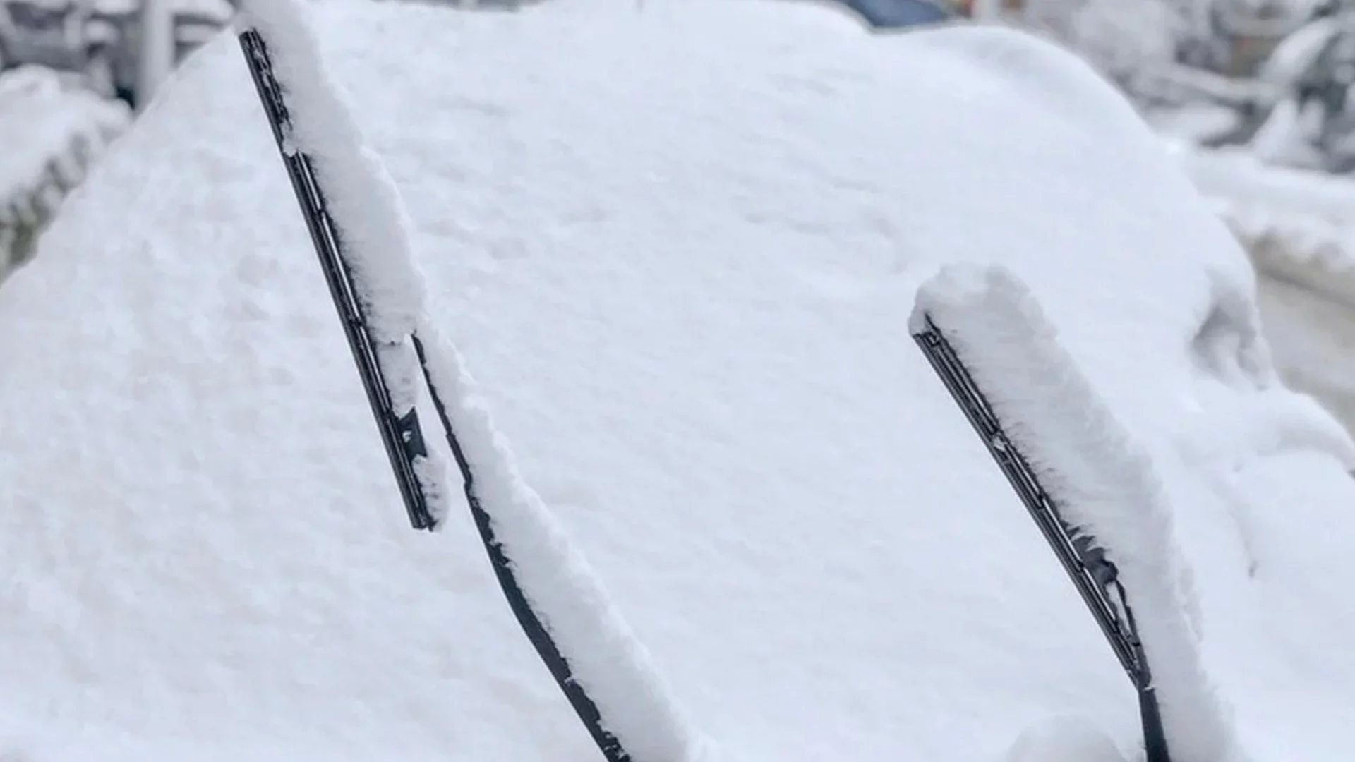 Замръзнали чистачки на колата: Как да решите проблема за 2 минути без щети?