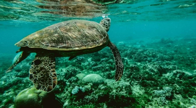 Учени направиха тревожно откритие за подводен каньон до Италия