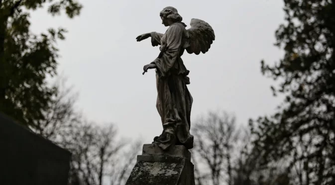 Стотици ограбени и осквернени от българи гробове: В Словения са в шок, не са виждали такова нещо