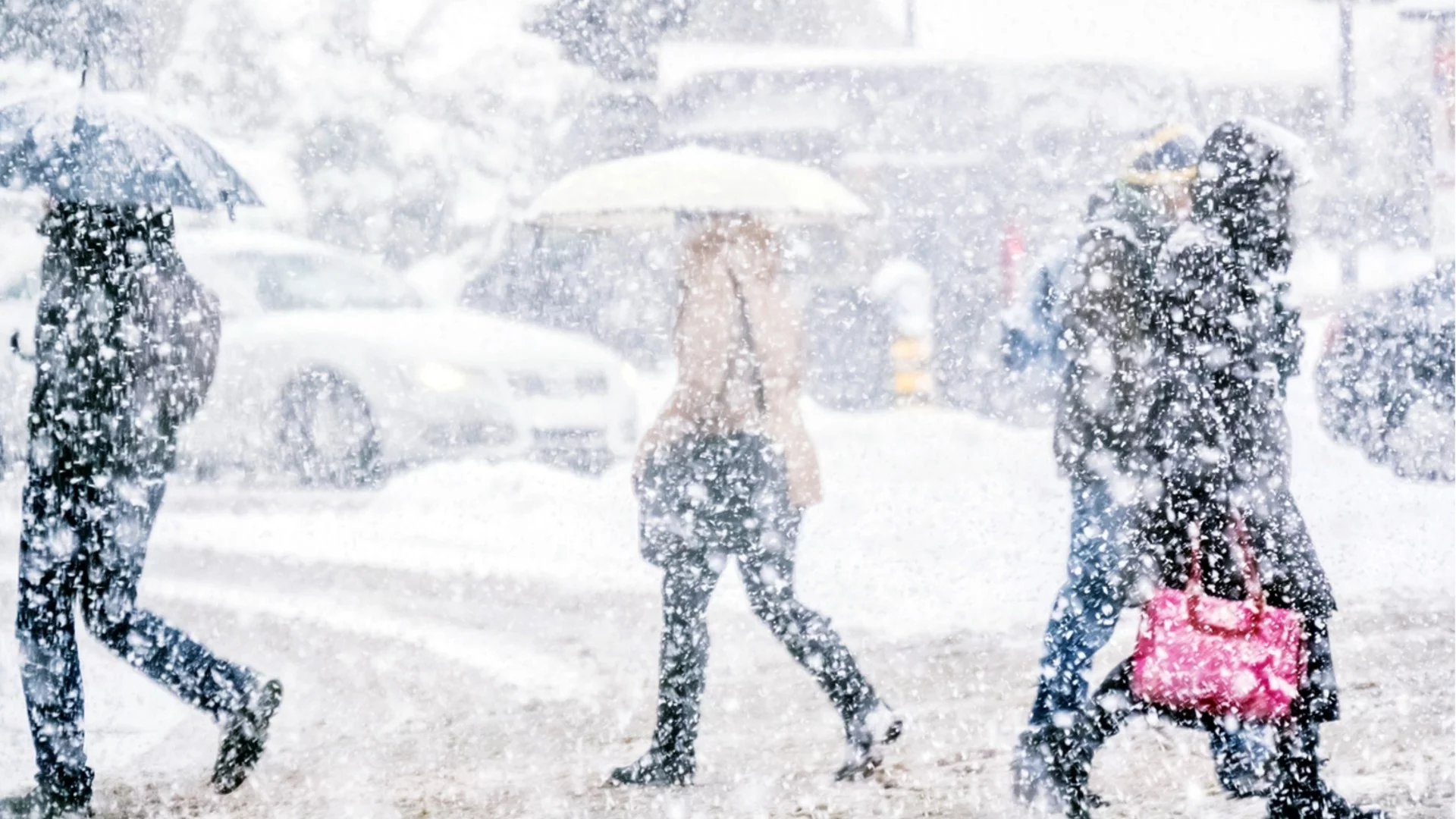 Над 50 са смъртните случаи заради студовете в САЩ (ВИДЕО)