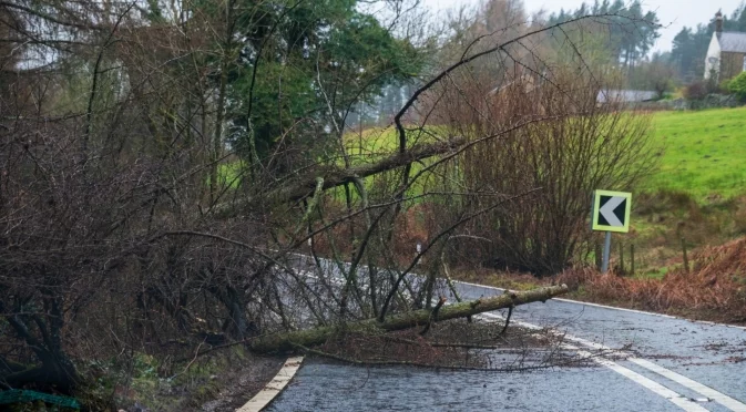 Расте броят на жертвите от бурята в Португалия, все още няма ток (ВИДЕО)
