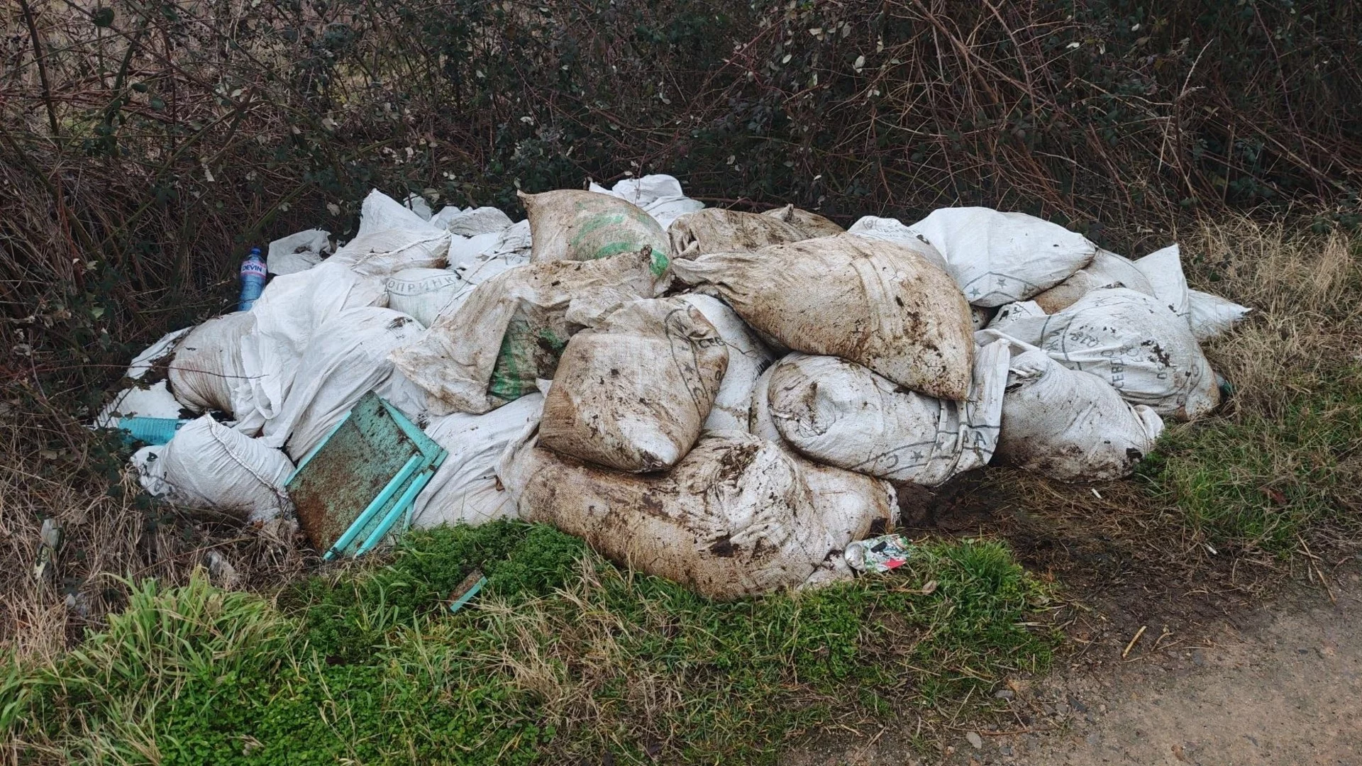 Трупове на животни и боклук: Незаконно сметище край Карлово