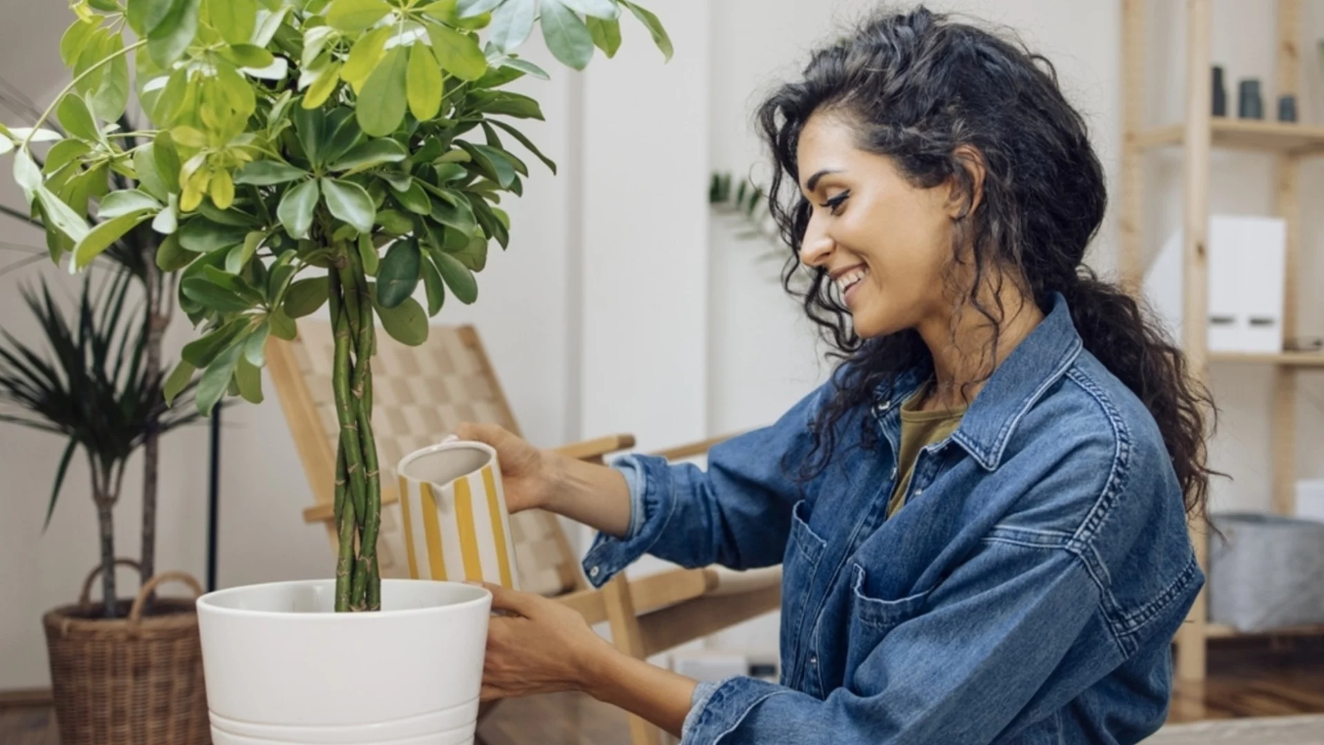 6 често срещани грешки при грижата за стайни растения