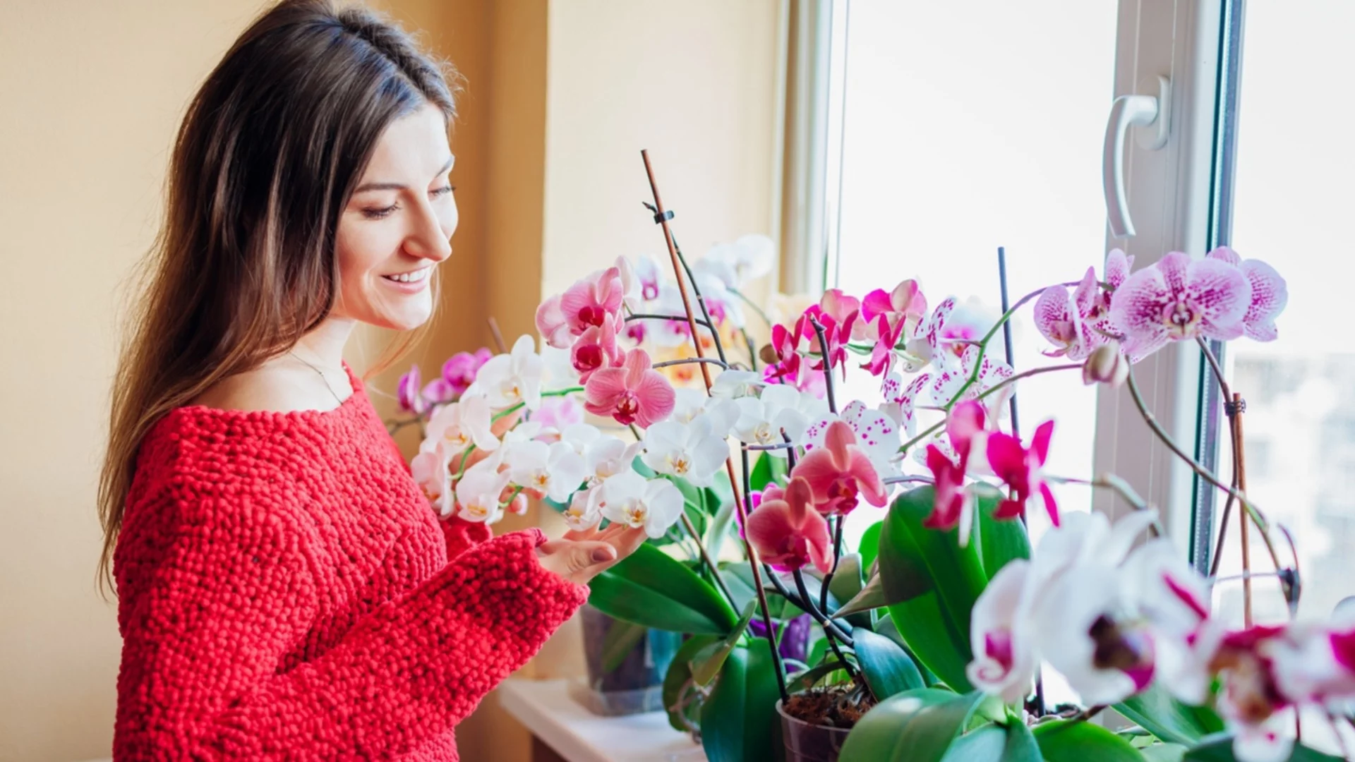 Най-подходящите растения за детска стая