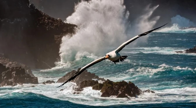 Изумително: Рядка "скитаща" птица е забелязана на 4800 км от дома ѝ