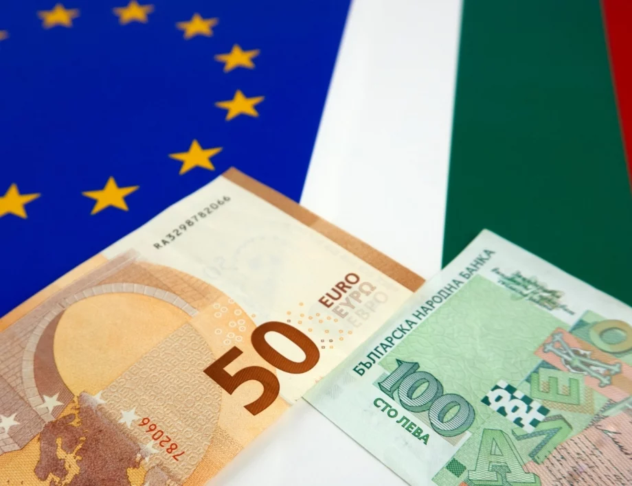 Справихме ли се с приемането на еврото? Анкетата на Actualno.com