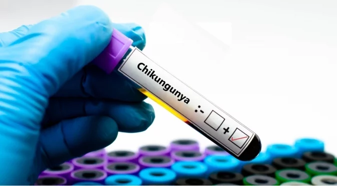 Вирусът чикунгуня стигна до Румъния