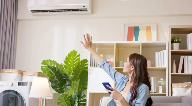 Как да защитите растенията си у дома от климатика