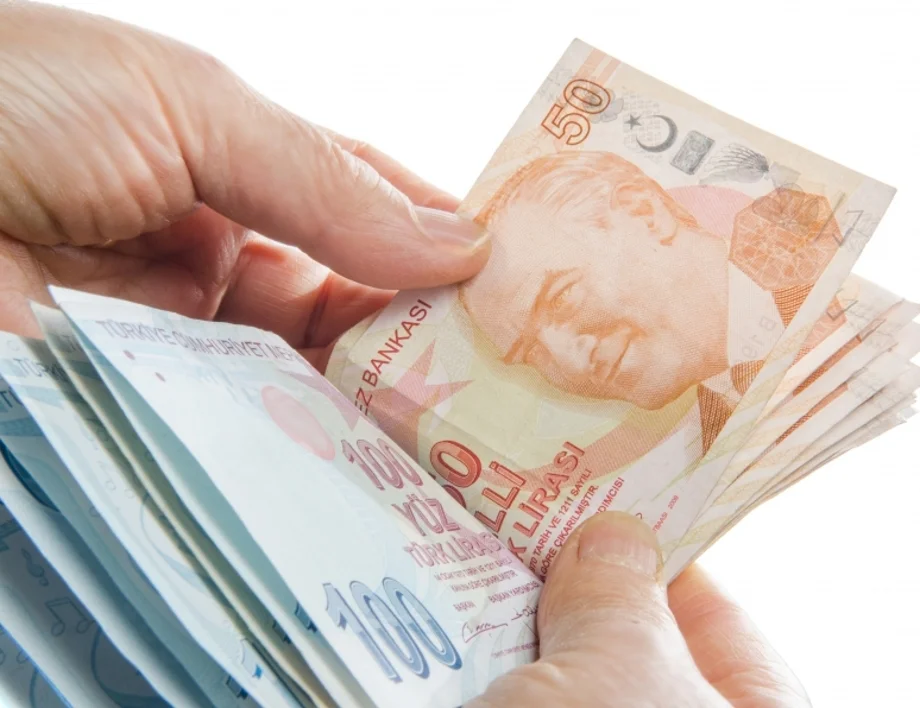 Турска лира - евро. Колко струва една турска лира към едно евро днес, 30 януари /валутен калкулатор/