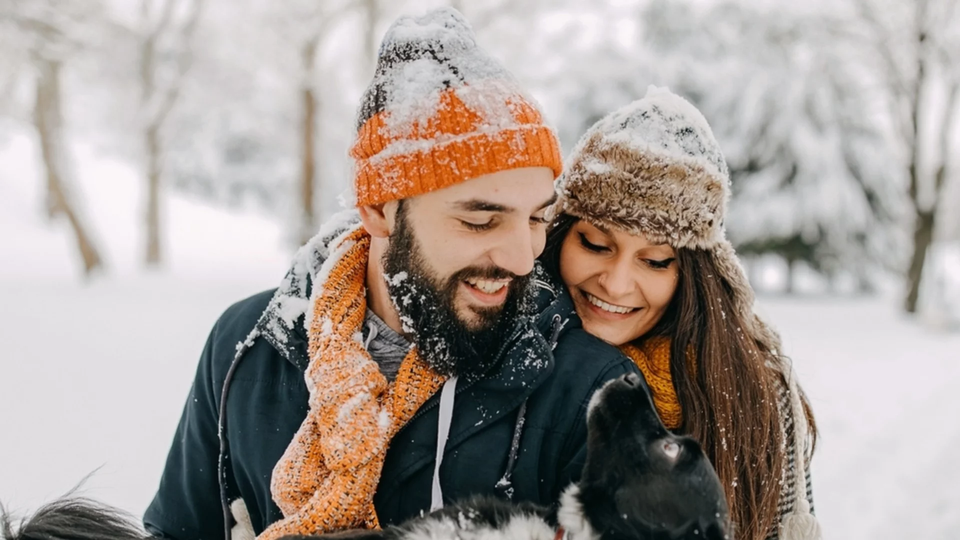 Седмична прогноза за времето за 2-8 февруари 2026 г. 