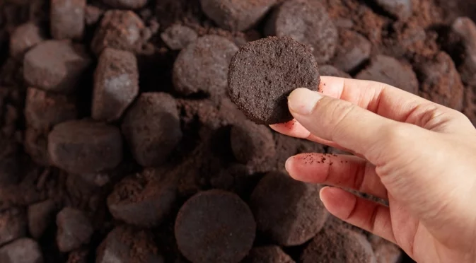 Най-добрият начин да съхранявате използвана утайка от кафе за повторна употреба в дома и градината си  