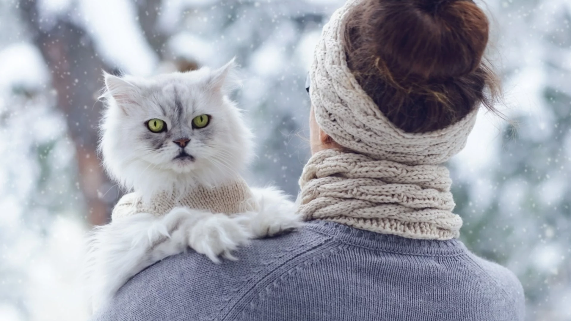 Прогноза за времето - 1 февруари 2026 г. (неделя)