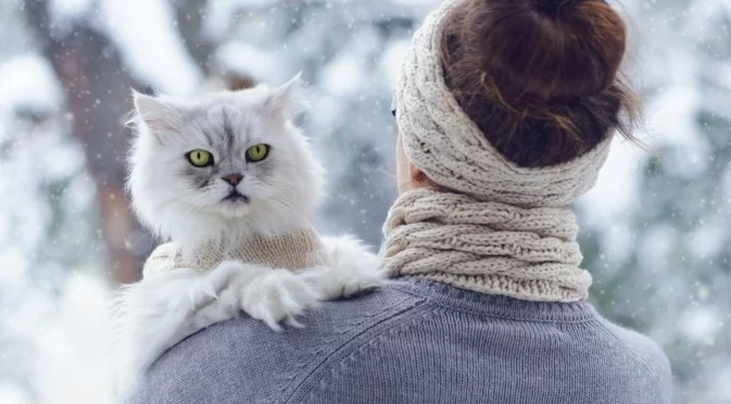 Прогноза за времето - 1 февруари 2026 г. (неделя)