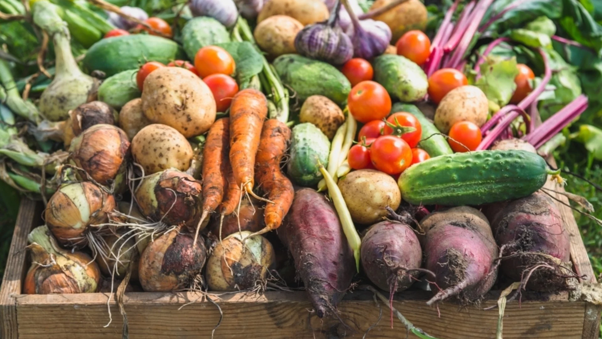 Отглеждане на зеленчуци в малки пространства - съвети на старите градинари
