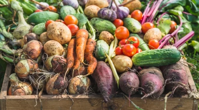 Отглеждане на зеленчуци в малки пространства - съвети на старите градинари