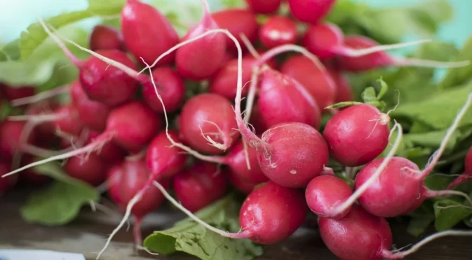 Зеленчуци, които можете да отглеждате във висящи кошници