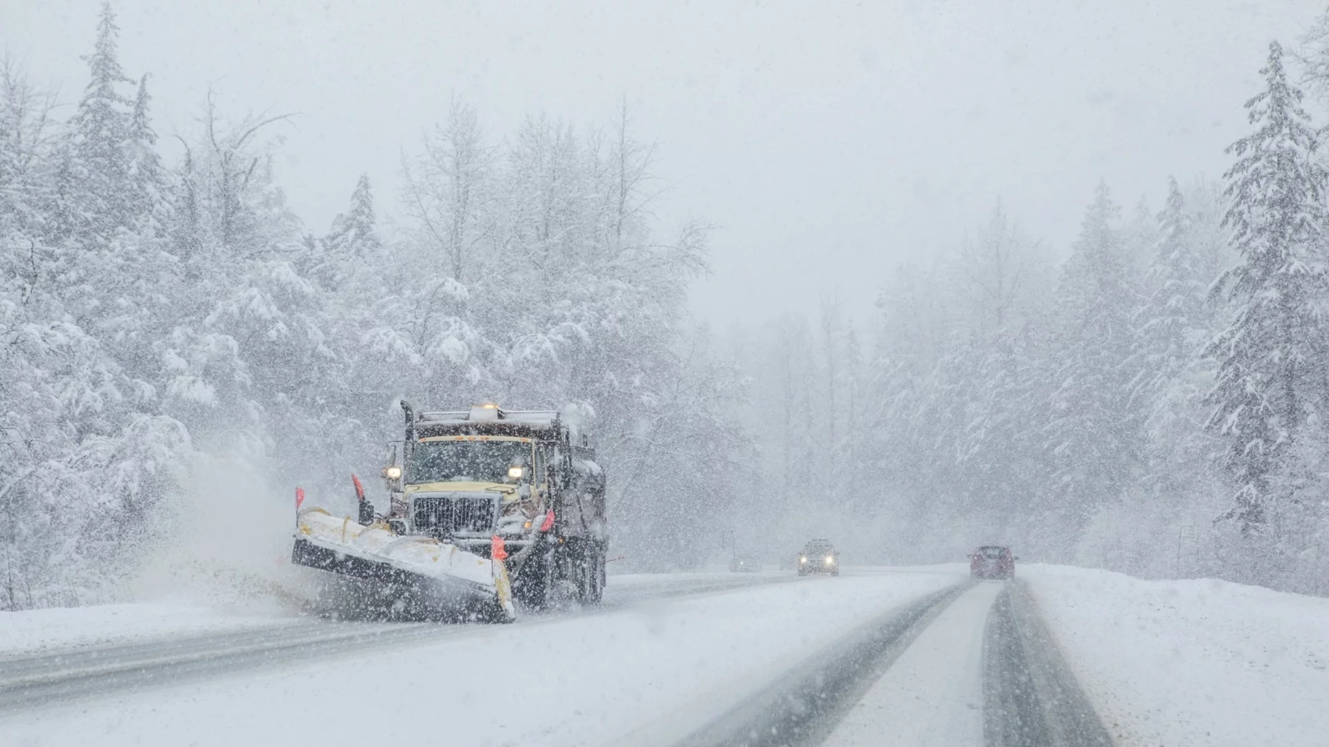 България в капан на зимата: Над 1000 снегорини на терен, блокиран автобус в Северозападна България