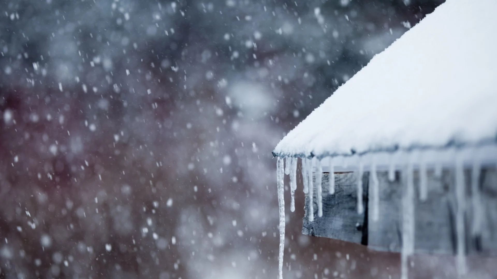 Не земетресение, а сняг: Вижте как къща се срути в Турция (ВИДЕО)