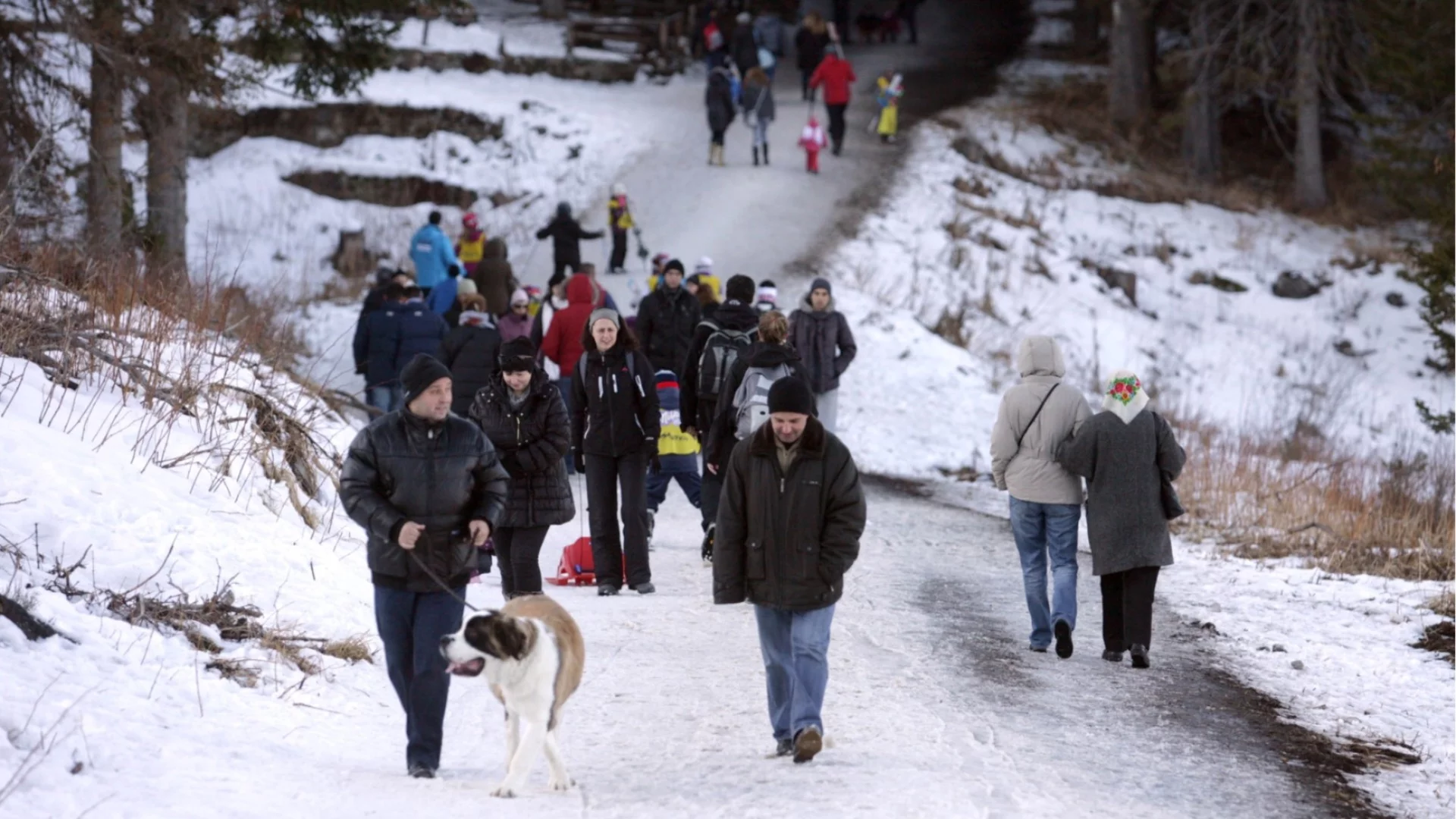 "Гробище на европейската цивилизация": Ще се разпадне ли ЕС като Римската империя?