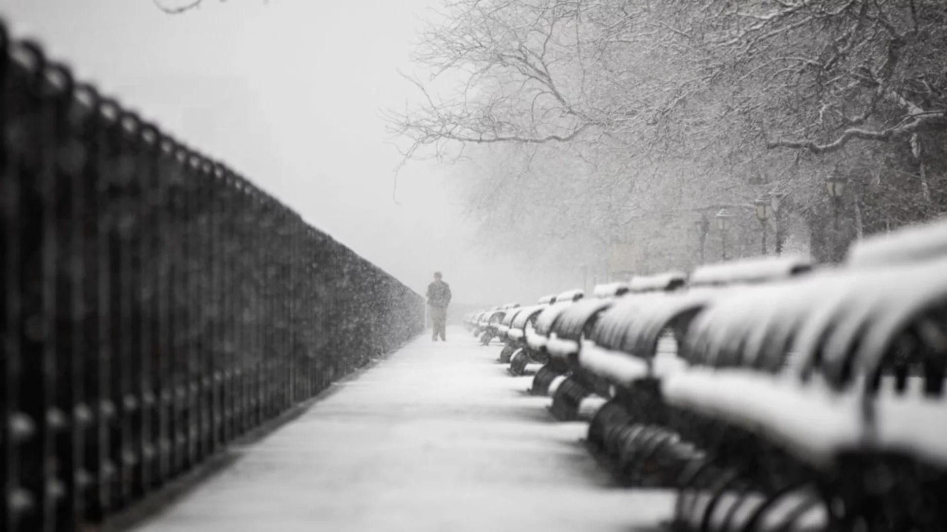 Ледената вълна взе десетки жертви в Ню Йорк