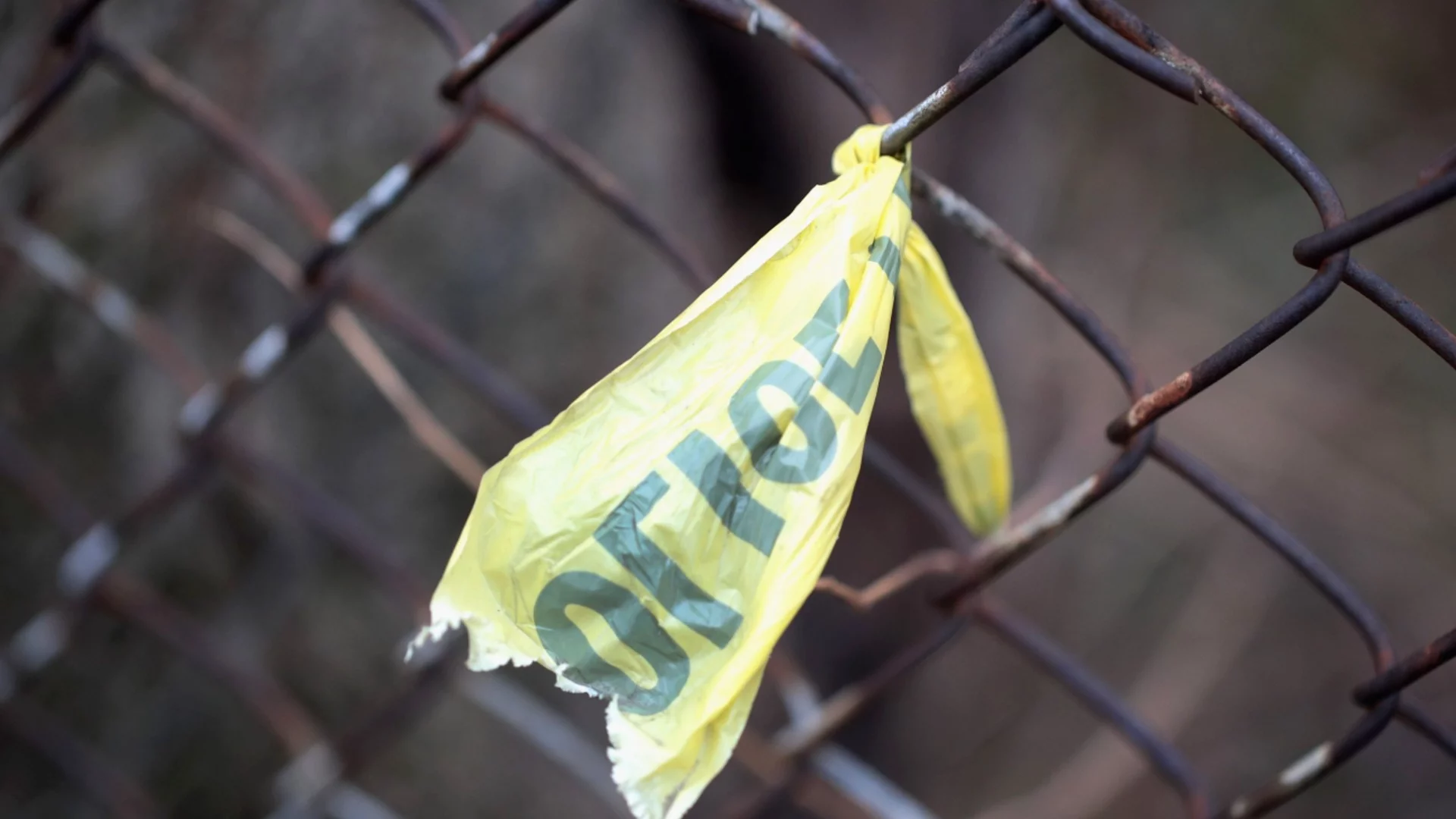 Дървена мафия, секта или злоупотреба с деца: Полицията работи по тройното убийство край Петрохан