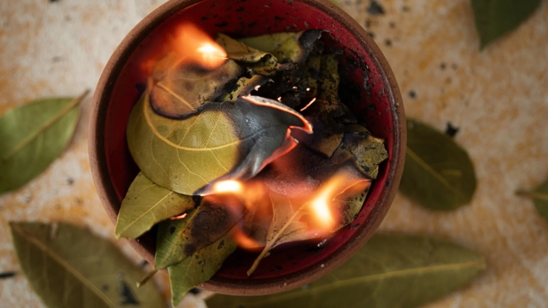 Запалете дафинов лист в дома си на тези дати през февруари 2026 и вижте какво ще се случи