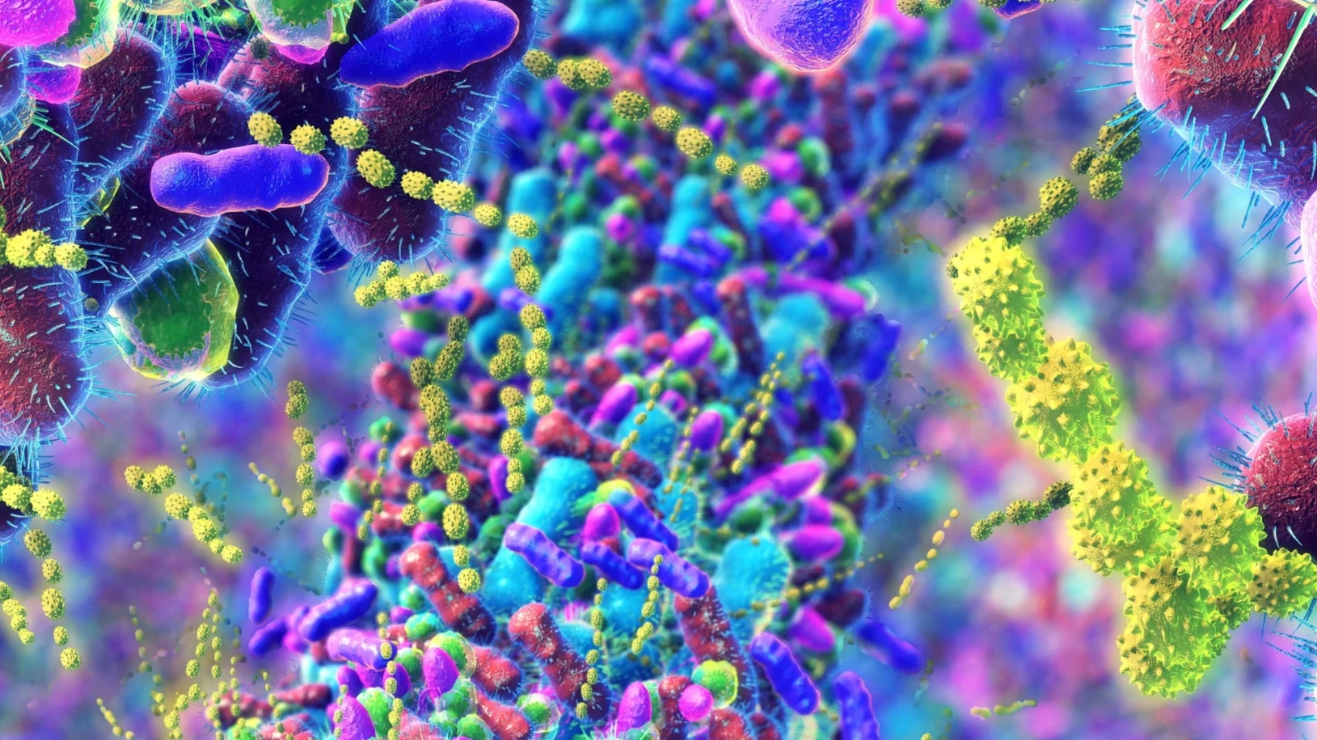 Не е само гъбата за съдове: Този домакински уред е развъдник на микроби, а го използвате всеки ден