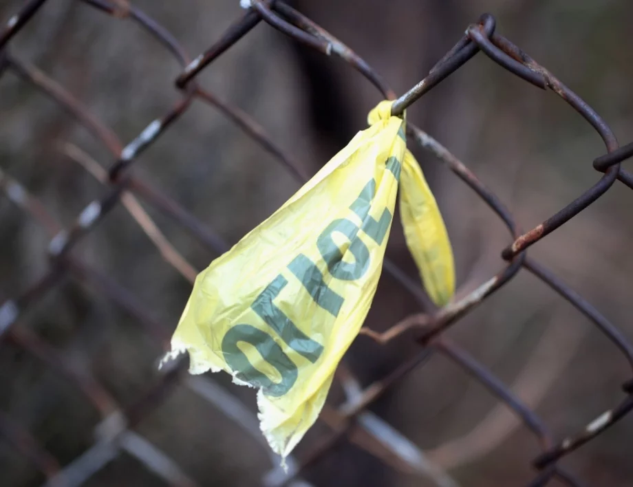 Дървена мафия, секта или злоупотреба с деца: Полицията работи по тройното убийство край Петрохан