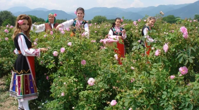 Кандидатстваме за вписване на Долината на розите в ЮНЕСКО