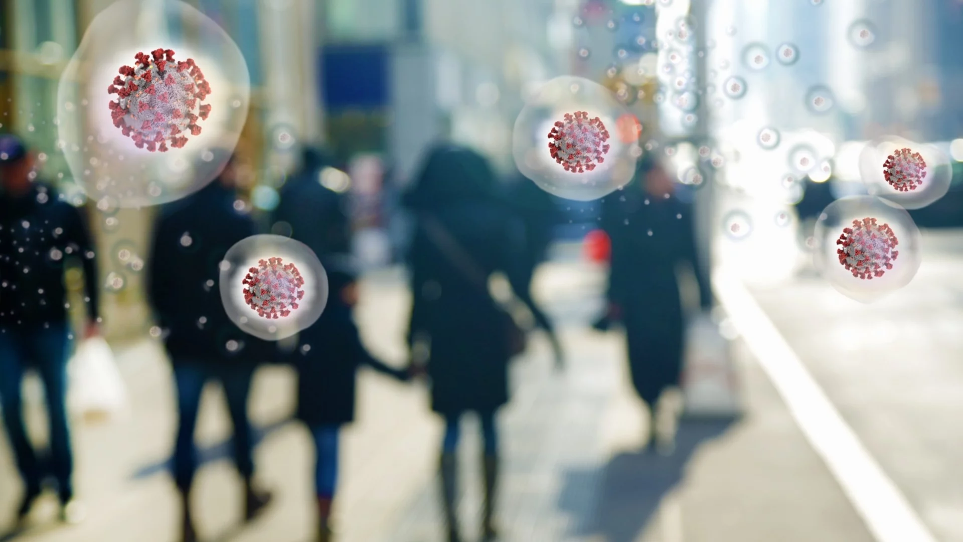 Експерт: Няма опасност от масово разпространение на вируса Нипа