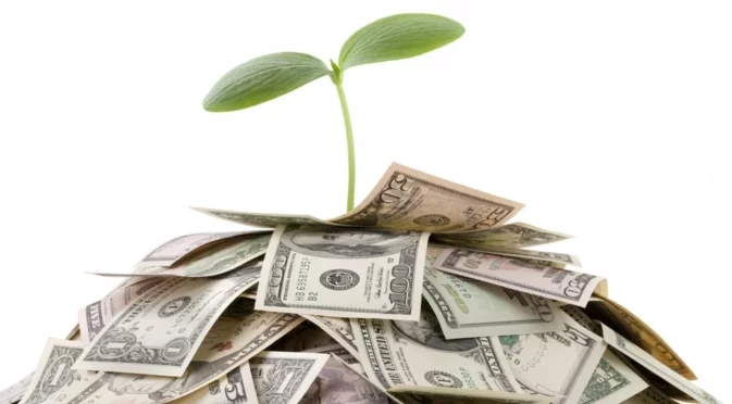 Според Фън шуй това растение носи богатство във всеки дом