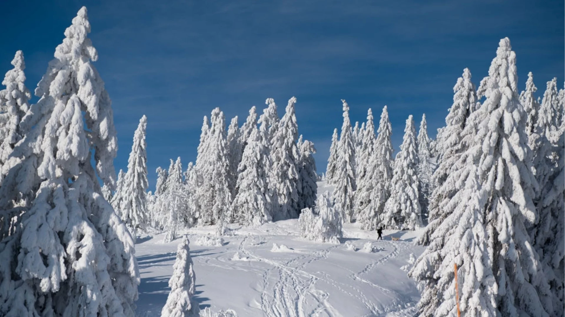 Прогноза за времето - 5 февруари 2026 г. (четвъртък)
