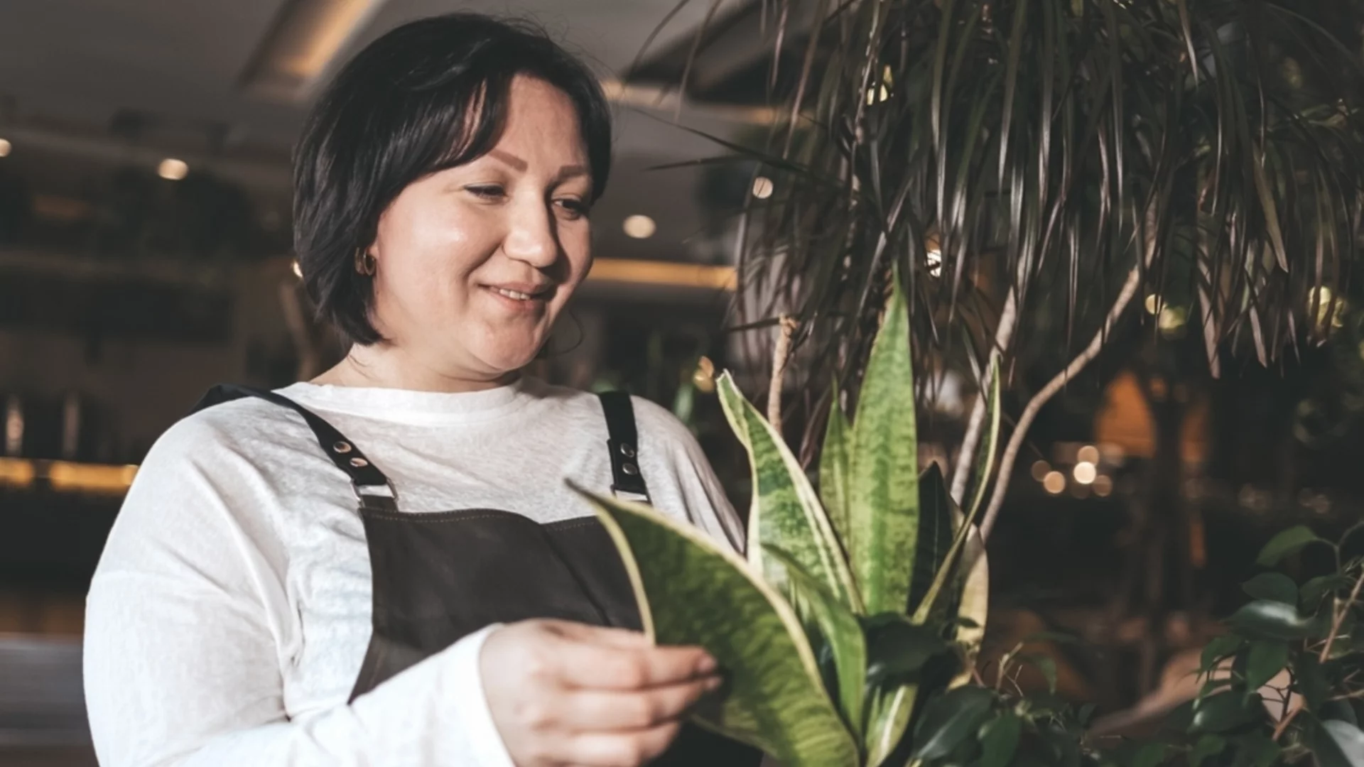 Трик, с който да поддържате змийското си растение процъфтяващо 