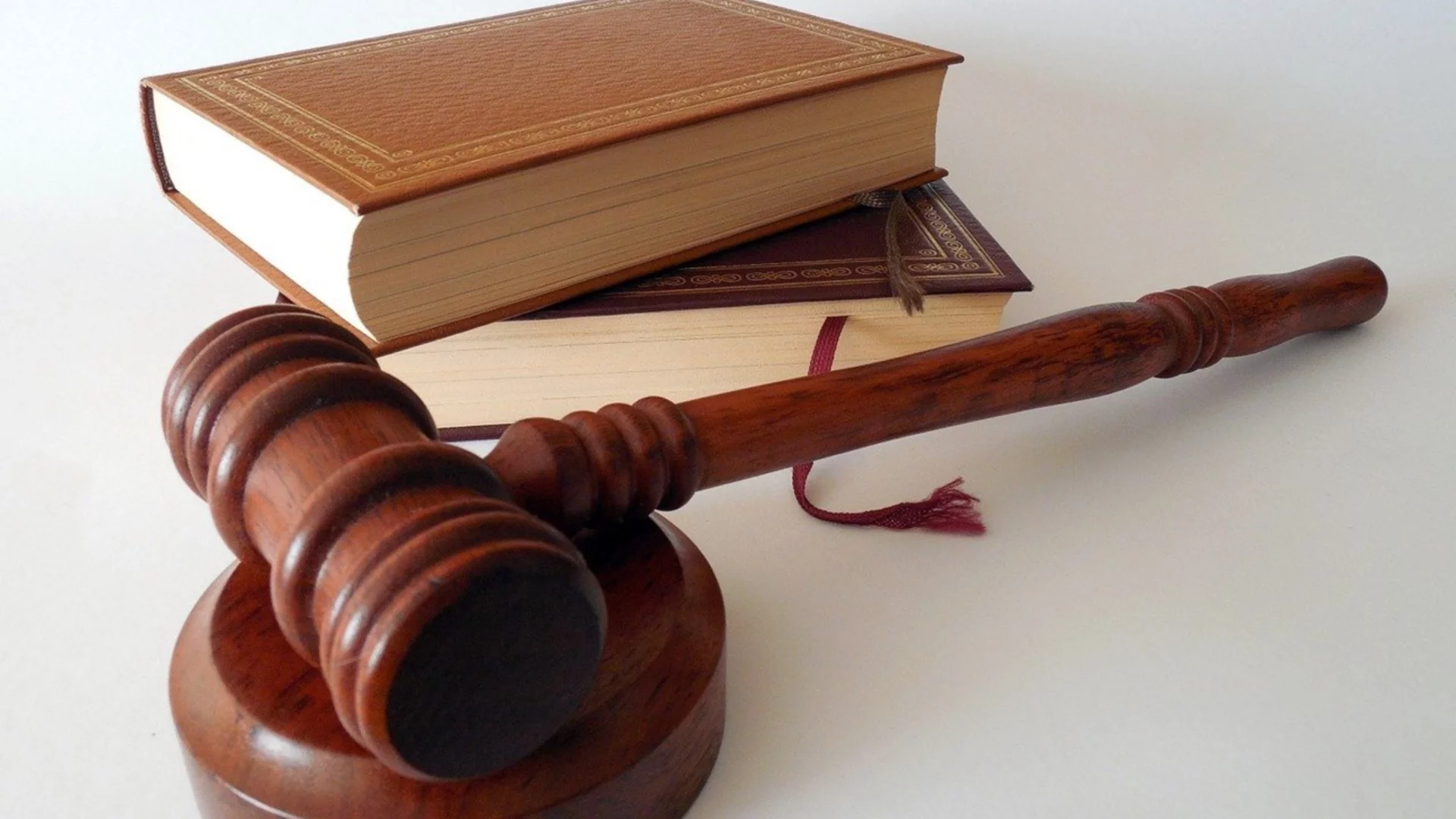 Официално: Повдигнаха обвинения на задържаните за бруталното насилие над животни в село Царевец