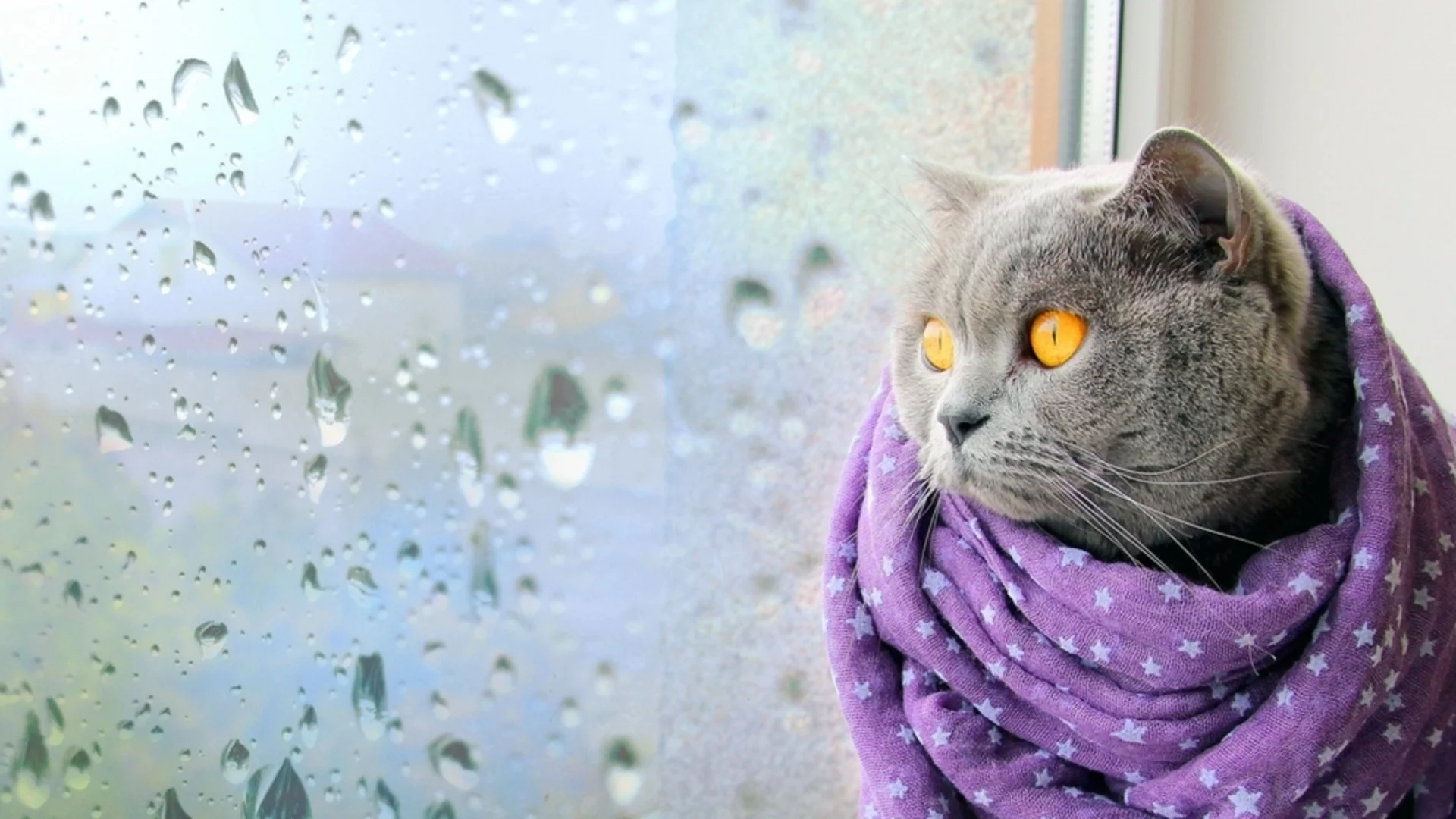 Опасно време с червен код в две области. Времето утре - 5 февруари 2026 г. (КАРТА)