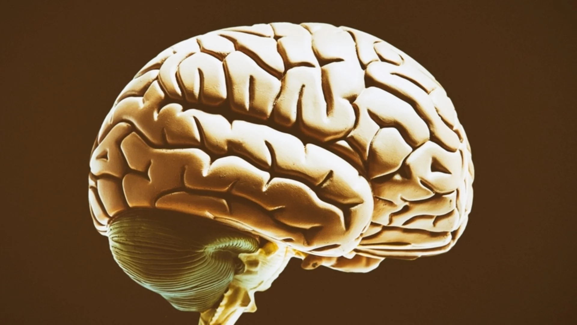 Износ на мозъци: Македонският здравен министър не вижда проблем