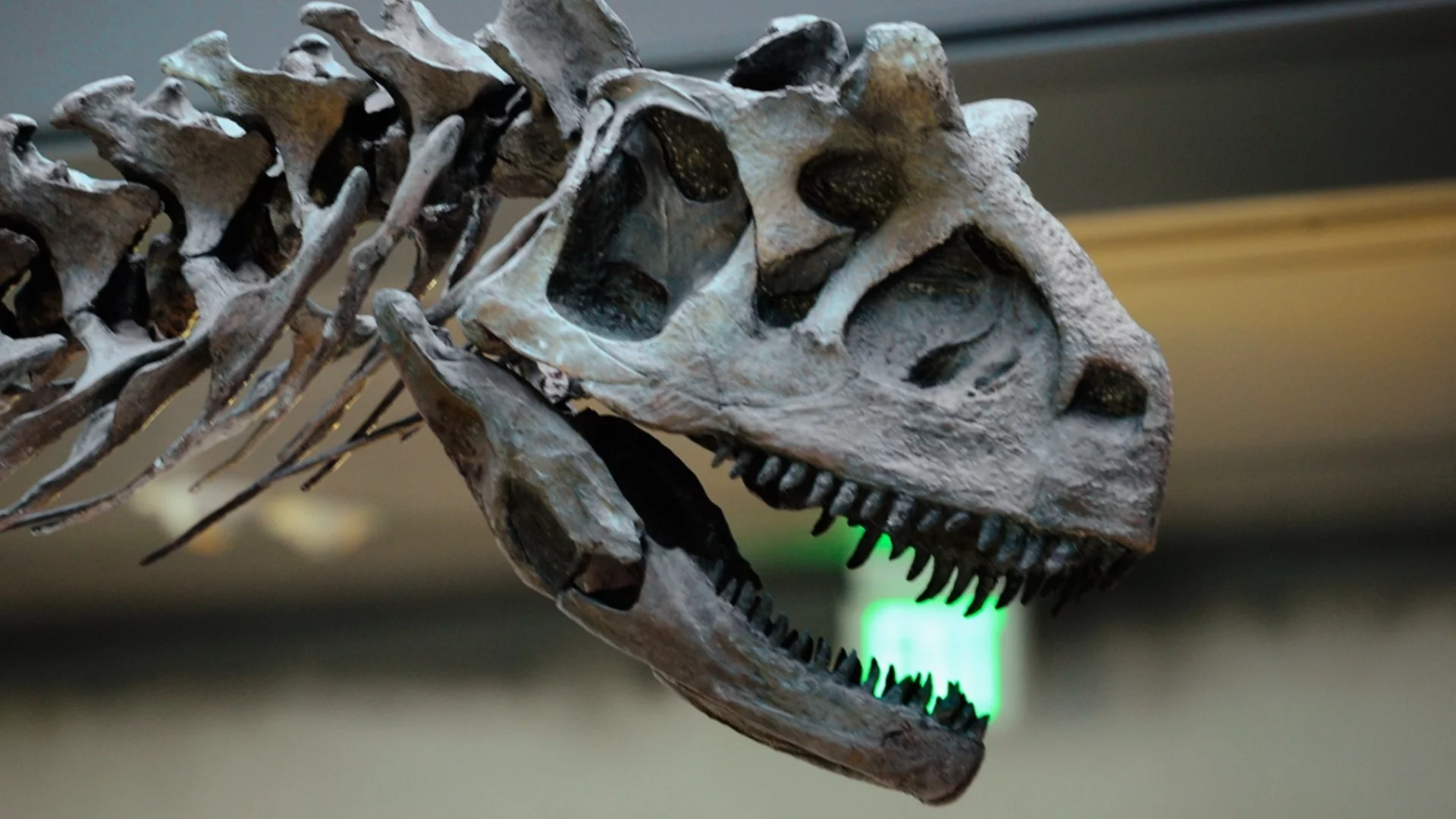 Малък динозавър с голямо значение: Новооткрит вид преобръща историята за еволюцията