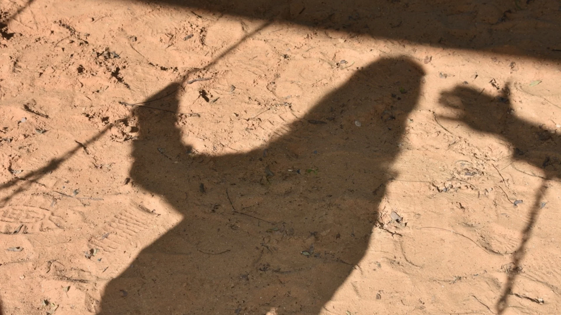 "Ще горят къщи, коли, каквото имат": Протест в Лом след освобождаването на обвинен в блудство