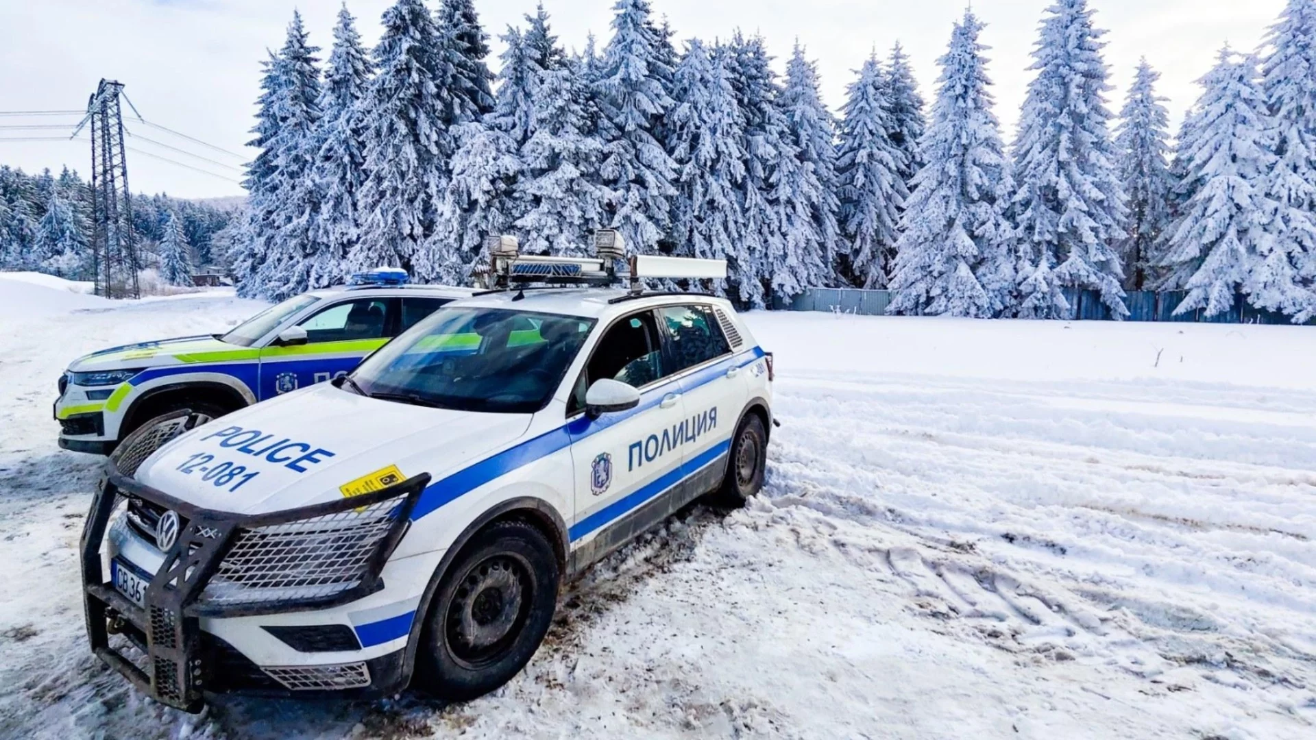 Педофилия или семеен конфликт? BG Elves публикува прословутия сигнал по случая "Петрохан"