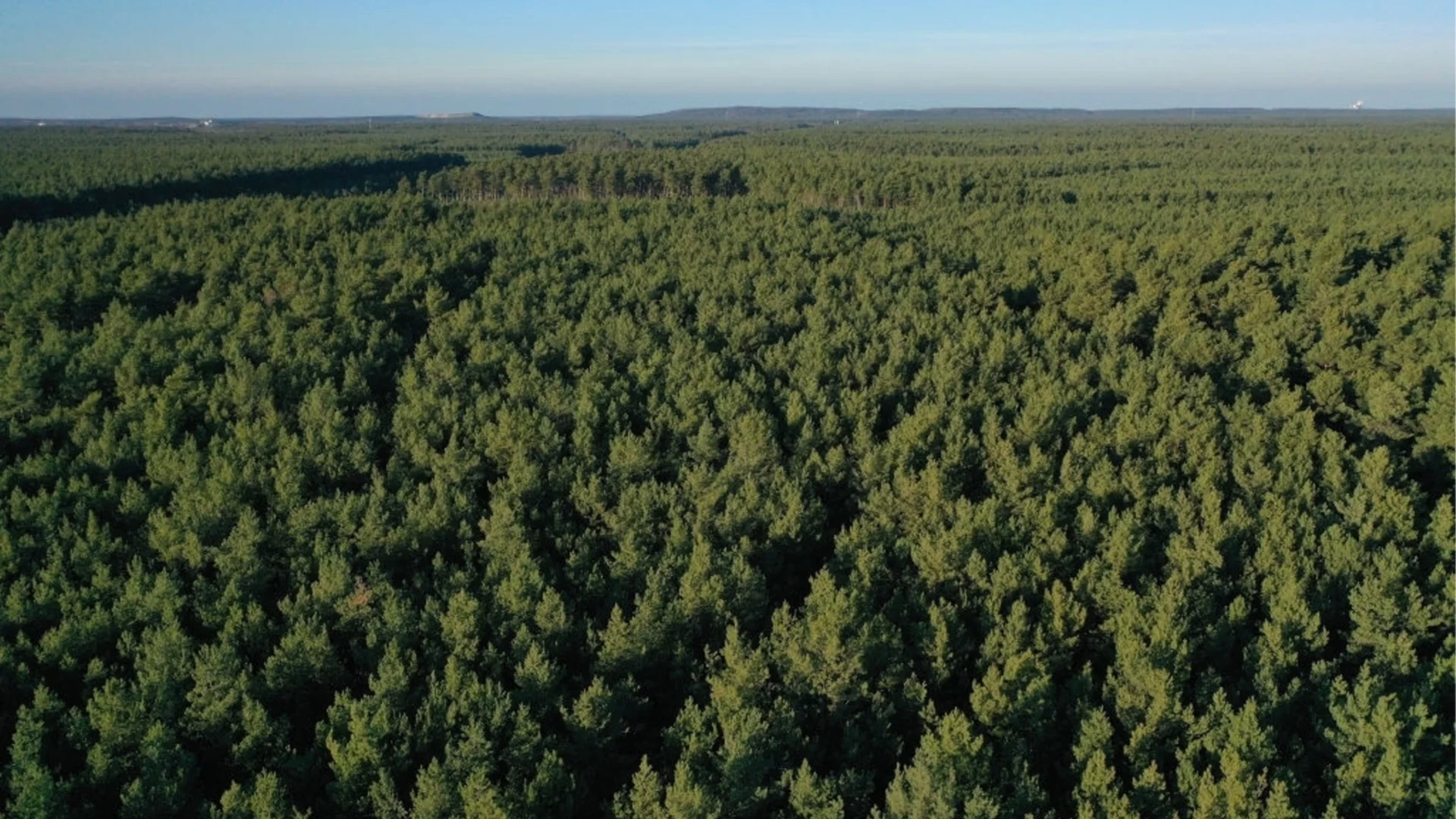 Неочакваният губещ от войната на Русия в Украйна