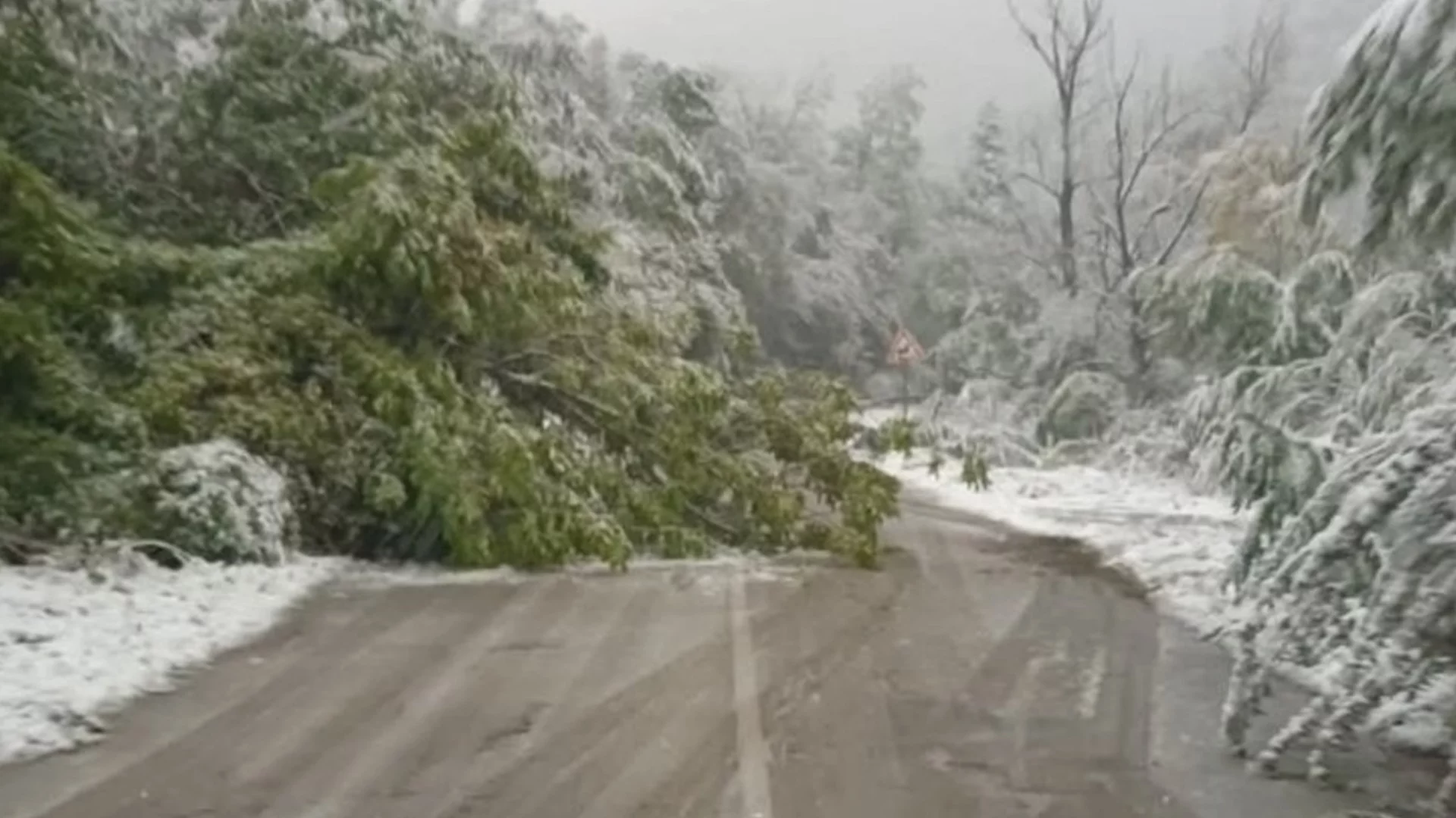 Поредно свлачище на път край Девин